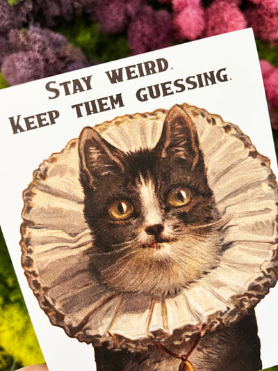 Stay Weird Funny Kitty Card - Birthday Friendship