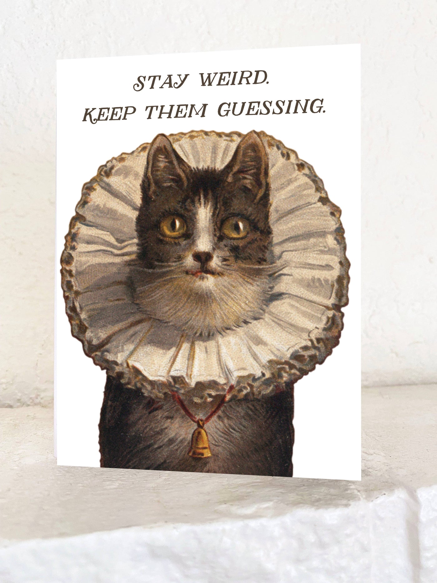 Stay Weird Funny Kitty Card - Birthday Friendship